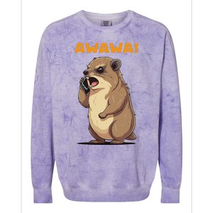 Rock Hyrax Awawa Angry Phonecall Funny Groundhog Dassie Colorblast Crewneck Sweatshirt