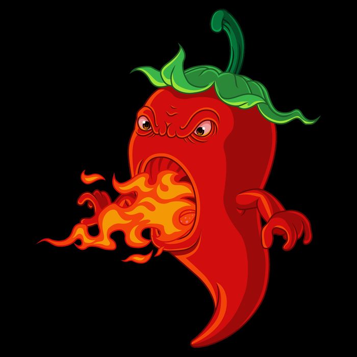 Red Hot Chilli Pepper With Flame Bag