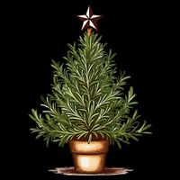Rosemary Herb Christmas Tree Drawstring Bag