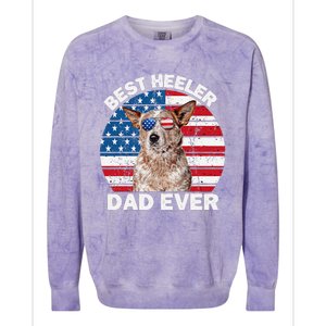 Red Heeler Dad American Flag Australian Cattle Dog Patriotic Colorblast Crewneck Sweatshirt