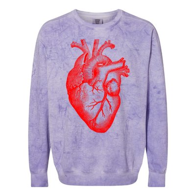 Red Hu Heart Anatomical Med Student Valentines Day Gift Colorblast Crewneck Sweatshirt