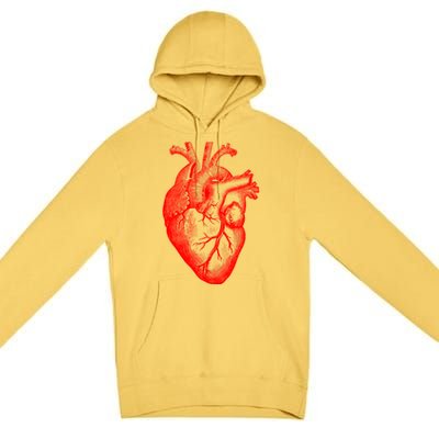 Red Hu Heart Anatomical Med Student Valentines Day Gift Premium Pullover Hoodie