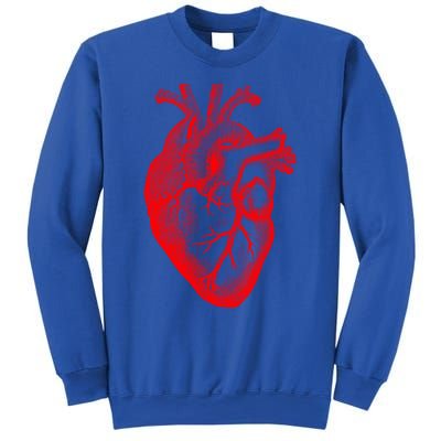 Red Hu Heart Anatomical Med Student Valentines Day Gift Sweatshirt