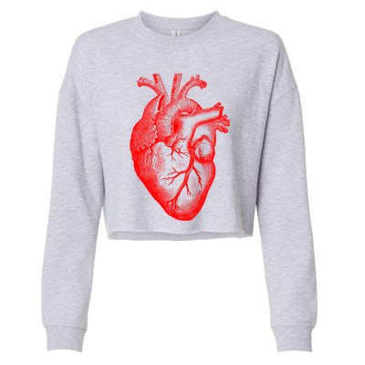 Red Hu Heart Anatomical Med Student Valentines Day Gift Cropped Pullover Crew