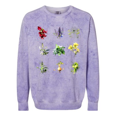 Reproductive Health Herbs Herbalist Plant Lover Colorblast Crewneck Sweatshirt