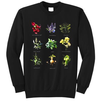 Reproductive Health Herbs Herbalist Plant Lover Sweatshirt