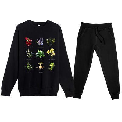 Reproductive Health Herbs Herbalist Plant Lover Premium Crewneck Sweatsuit Set