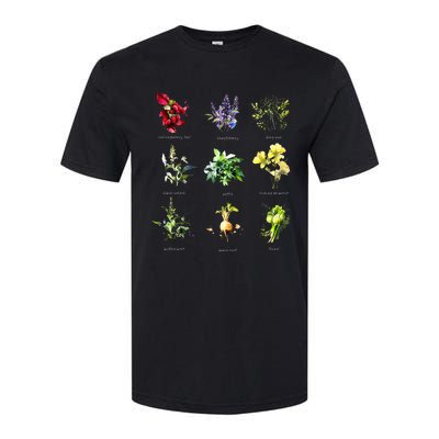 Reproductive Health Herbs Herbalist Plant Lover Softstyle® CVC T-Shirt