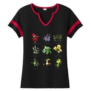 Reproductive Health Herbs Herbalist Ladies Halftime Notch Neck Tee