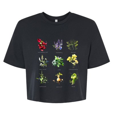 Reproductive Health Herbs Herbalist Bella+Canvas Jersey Crop Tee