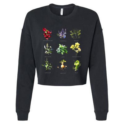 Reproductive Health Herbs Herbalist Cropped Pullover Crew