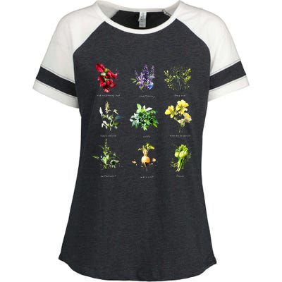 Reproductive Health Herbs Herbalist Enza Ladies Jersey Colorblock Tee