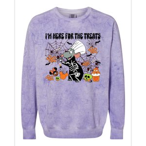 Remy Halloween Im Here For The Treats Snacks Halloween Little Colorblast Crewneck Sweatshirt