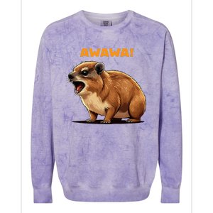 Rock Hyrax Lover Awawa Funny Groundhog Dassie Colorblast Crewneck Sweatshirt