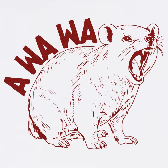 Rock Hyrax Lover Awawa Funny Groundhog Dassi T-Shirt