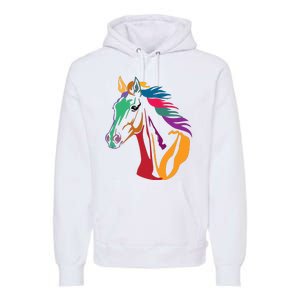 Rainbow Horse Lover Cute Premium Hoodie