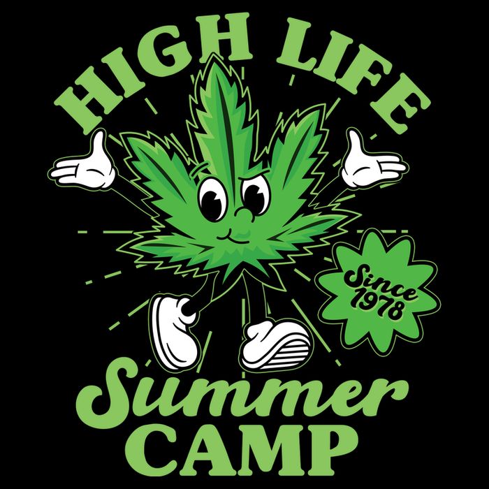 Retro High Life Summer Camp Since 1978 Womens T-Shirt