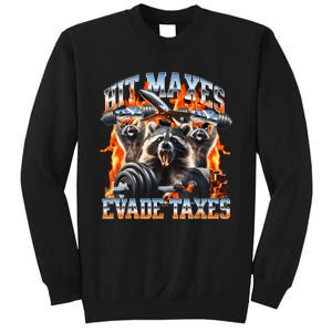 Raccoon Hit Maxes Evade Taxes Sweatshirt