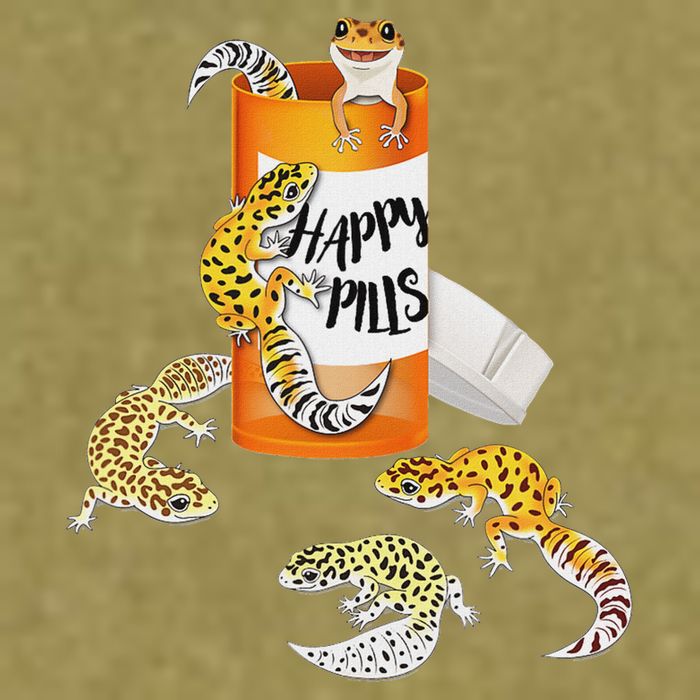 Reptile Happy Pills Leopard Gecko Lover Garment-Dyed Women's Muscle Tee