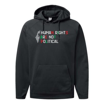 retro Human Rights Are Not Political Support Palestine  Performance Fleece Hoodie