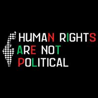 retro Human Rights Are Not Political Support Palestine  Sustainable Beanie
