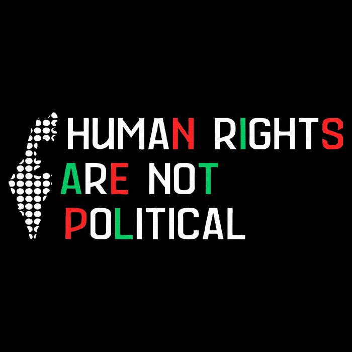 retro Human Rights Are Not Political Support Palestine  Toddler T-Shirt