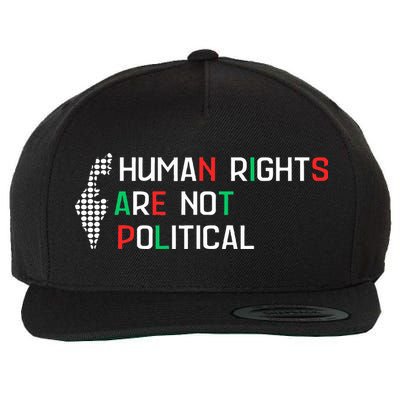 retro Human Rights Are Not Political Support Palestine  Wool Snapback Cap