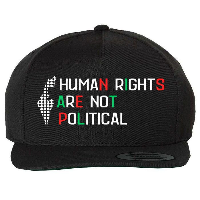 retro Human Rights Are Not Political Support Palestine  Wool Snapback Cap