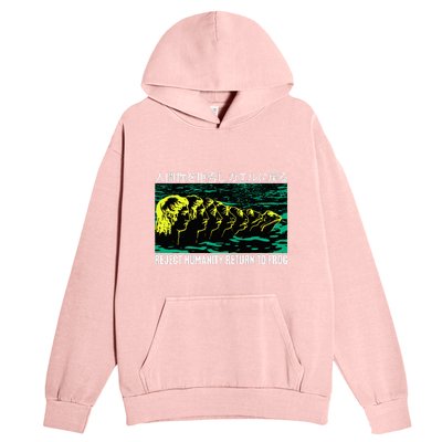 Reject Humanity Return To Frog Japanese Urban Pullover Hoodie