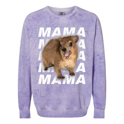 Rock Hyrax Colorblast Crewneck Sweatshirt