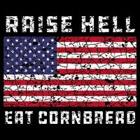 Raise Hell Usa Flag Eat Cornbread Redneck Country July 4 Tall T-Shirt