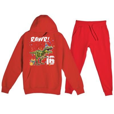 Rawr I'm 16 Birthday T Rex Dinosaur Party Gift For Premium Hooded Sweatsuit Set