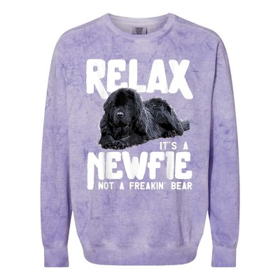 Relax ItS A Newfie Not A Freakin Bear Newfoundland Dog Colorblast Crewneck Sweatshirt