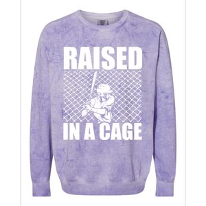 Raised In A Cage Baseball Training Batter Catcher Pitch Gift Colorblast Crewneck Sweatshirt