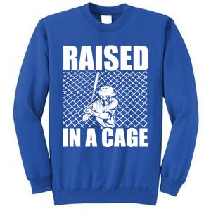 Raised In A Cage Baseball Training Batter Catcher Pitch Gift Sweatshirt