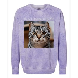 Rage Is Consuming Me Silly Staring Cat Meme Oddly Specific Colorblast Crewneck Sweatshirt