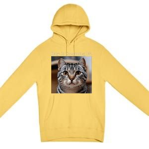 Rage Is Consuming Me Silly Staring Cat Meme Oddly Specific Premium Pullover Hoodie