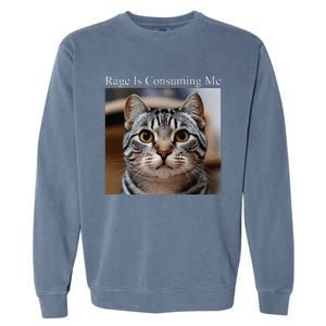 Rage Is Consuming Me Silly Staring Cat Meme Oddly Specific Garment-Dyed Sweatshirt