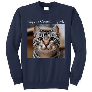 Rage Is Consuming Me Silly Staring Cat Meme Oddly Specific Sweatshirt