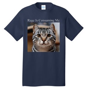 Rage Is Consuming Me Silly Staring Cat Meme Oddly Specific Tall T-Shirt