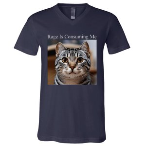 Rage Is Consuming Me Silly Staring Cat Meme Oddly Specific V-Neck T-Shirt