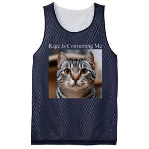 Rage Is Consuming Me Silly Staring Cat Meme Oddly Specific Mesh Reversible Basketball Jersey Tank