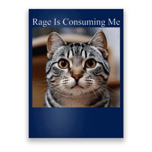 Rage Is Consuming Me Silly Staring Cat Meme Oddly Specific Poster