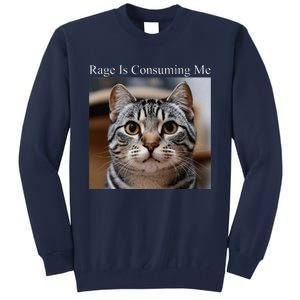 Rage Is Consuming Me Silly Staring Cat Meme Oddly Specific Tall Sweatshirt