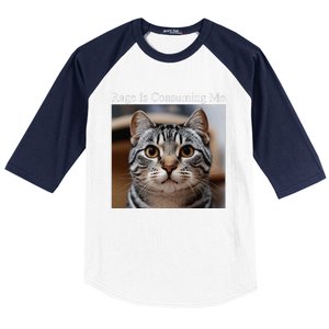 Rage Is Consuming Me Silly Staring Cat Meme Oddly Specific Baseball Sleeve Shirt