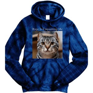 Rage Is Consuming Me Silly Staring Cat Meme Oddly Specific Tie Dye Hoodie