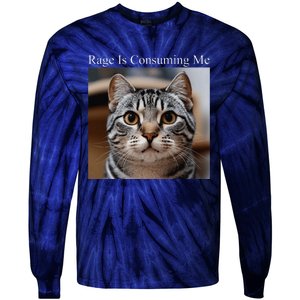 Rage Is Consuming Me Silly Staring Cat Meme Oddly Specific Tie-Dye Long Sleeve Shirt