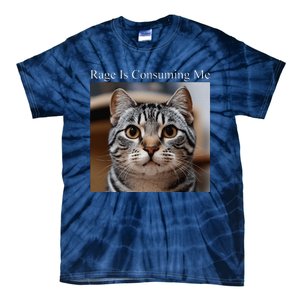 Rage Is Consuming Me Silly Staring Cat Meme Oddly Specific Tie-Dye T-Shirt