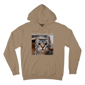 Rage Is Consuming Me Silly Staring Cat Meme Oddly Specific Hoodie