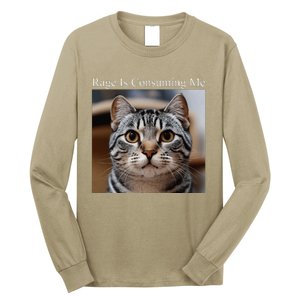 Rage Is Consuming Me Silly Staring Cat Meme Oddly Specific Long Sleeve Shirt